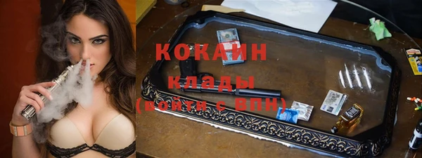 твердый Алексеевка