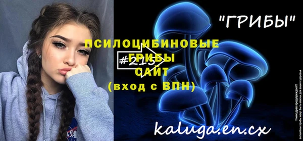 твердый Алексеевка