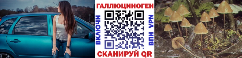 Псилоцибиновые грибы ЛСД  Томмот 